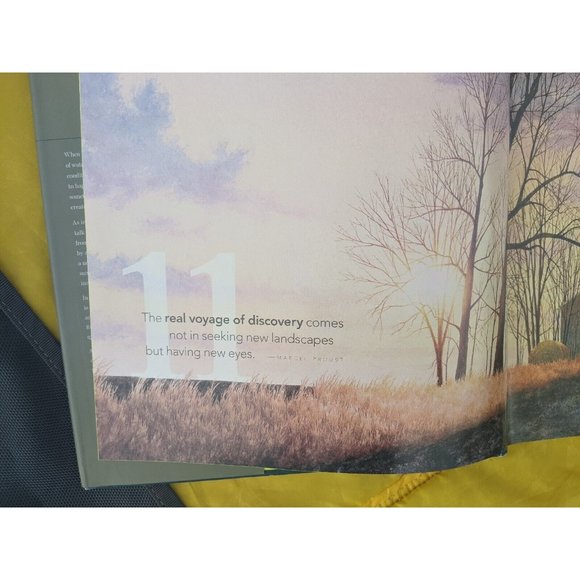 SPLASH 11 - Best of Watercolor - New Directions - Painting Hardcover Rachel Wolf - Picture 8 of 11